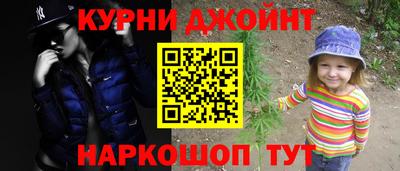 дмт Дубна