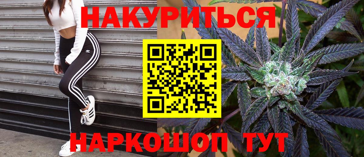 Луга  Бошки Шишки Bruce Banner  Конопля конопля  Вход с VPN  Шишки марихуана SATIVA & INDICA  Канабис план 